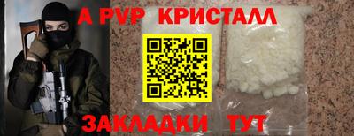 молекула духа Кингисепп