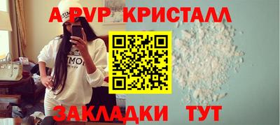 молекула духа Кингисепп