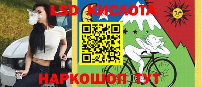 молекула духа Кингисепп