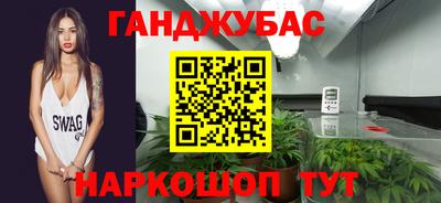 молекула духа Кингисепп