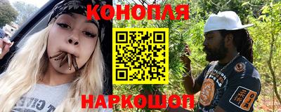 молекула духа Кингисепп