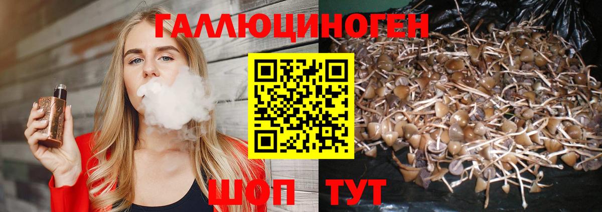 Галлюциногенные грибы Psilocybe Канаш