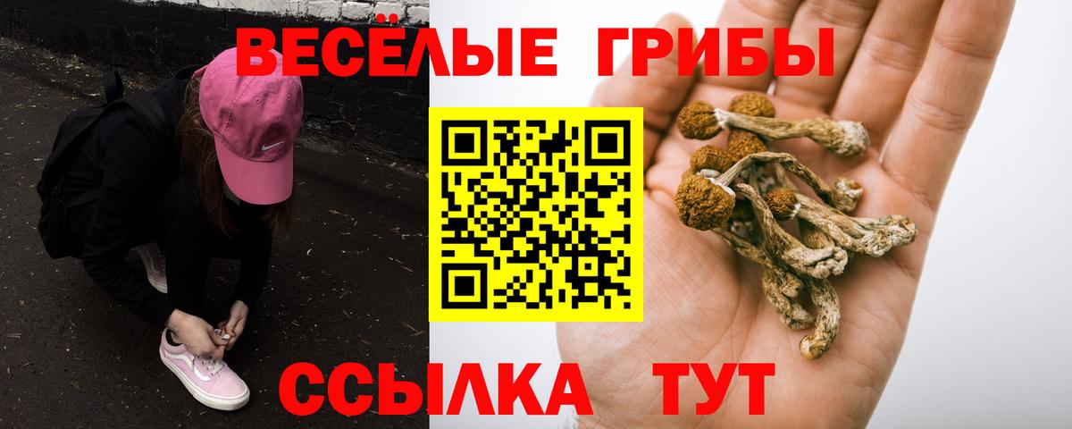 Канаш  Псилоцибиновые грибы Psilocybine cubensis  Вход с VPN  Галлюциногенные грибы GOLDEN TEACHER 