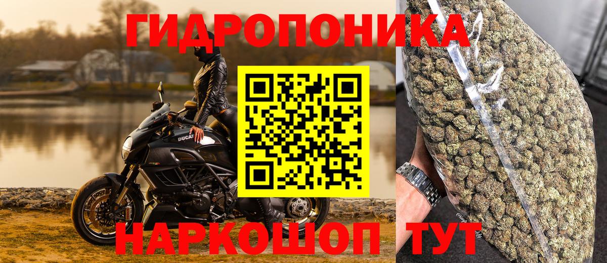 Конопля AK-47  Вход с VPN  Канаш  МАРИХУАНА гибрид  Бошки марихуана конопля 